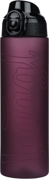 Sticlă Baagl din tritan Ruby 700 ml