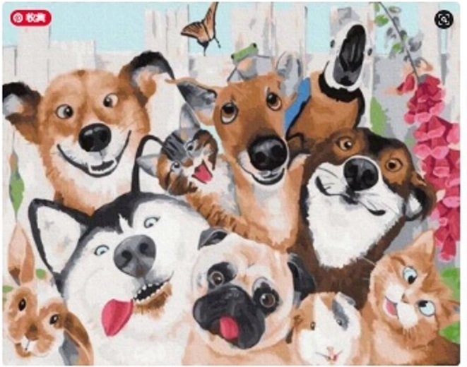 Norimpex pictură pe numere cu câini și pisici 40 × 50 cm