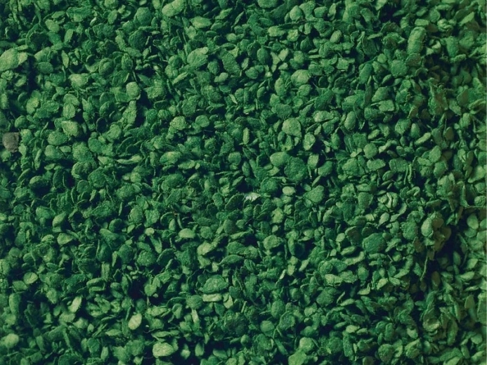 NOCH presărare de frunze verde mediu