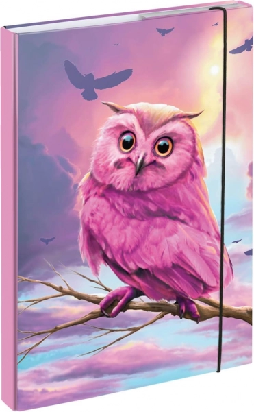 Mape pentru caiete școlare A4 cu motiv bufniță BAAGL