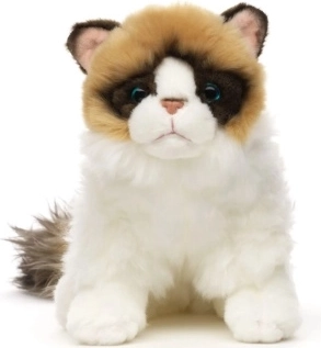 Pisică Ragdoll din pluș, 23 cm