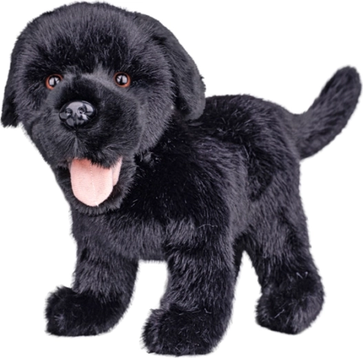 Labrador de pluș negru 23 cm - 1 bucată