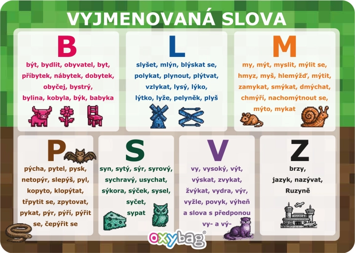 PlayWorld fișă educațională A4 – cuvinte după model (vyjmenovaná slova)