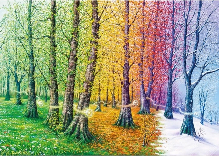 Puzzle Firele vieții 1000 piese MAGNOLIA