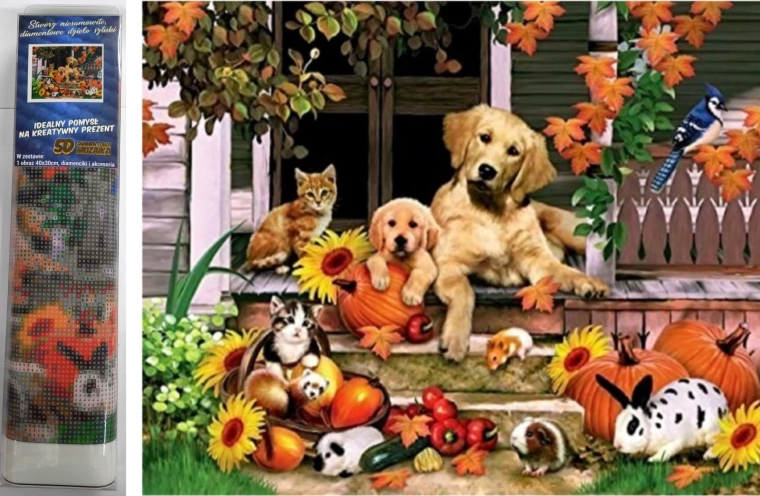 Norimpex pictură cu diamante – distracție de toamnă 30 × 40 cm