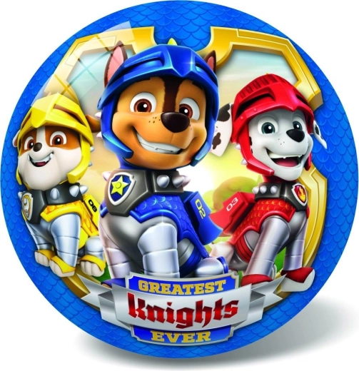 Mingea Paw Patrol 23 cm albastră în plasă