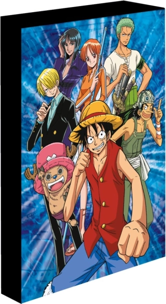 Tablou LED luminos 30x40 cm One Piece