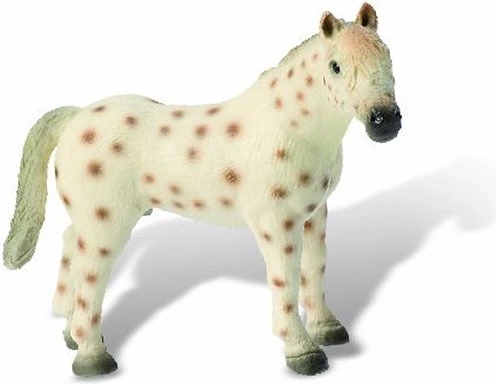 Armăsar Knabstrupper