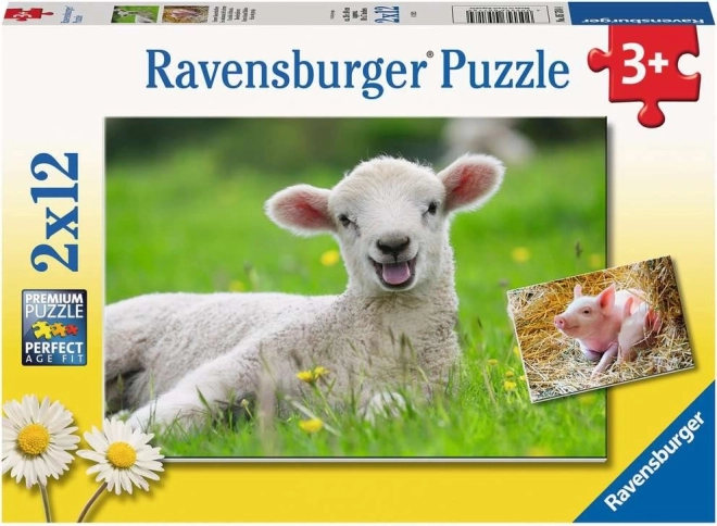 Puzzle Ravensburger animale domestice 2×12 piese