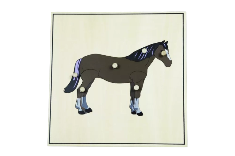 Puzzle cu schelet – cal
