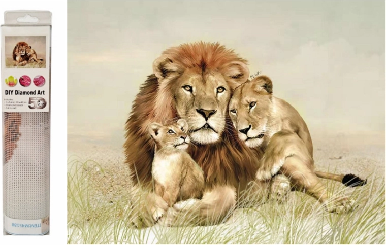 Mozaic cu diamante – lei