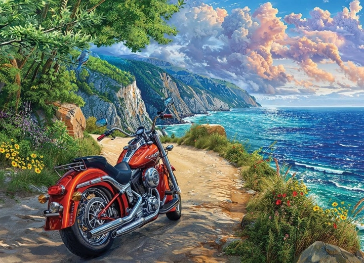 Puzzle Sosirea 500 piese de la Cobble Hill