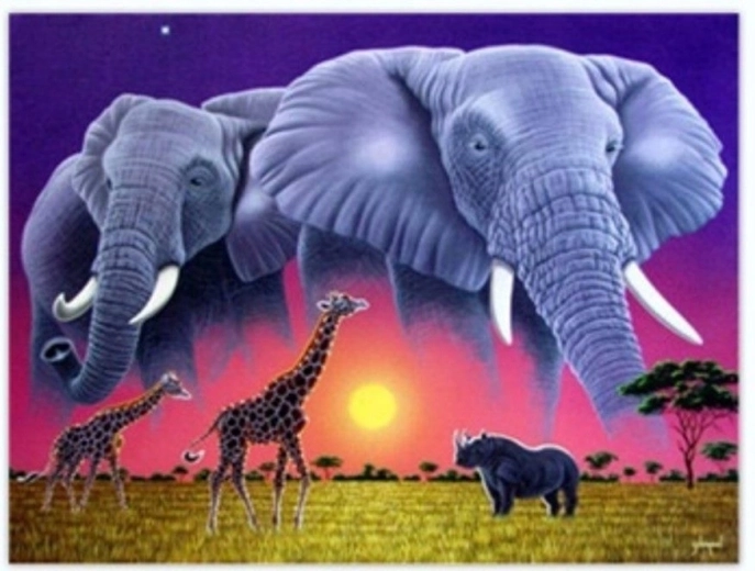Norimpex pictură pe numere Elefanți 40 × 50 cm