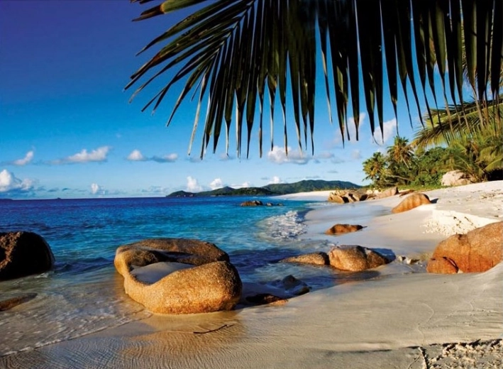 Puzzle Ravensburger Sub palmieri 1000 de piese