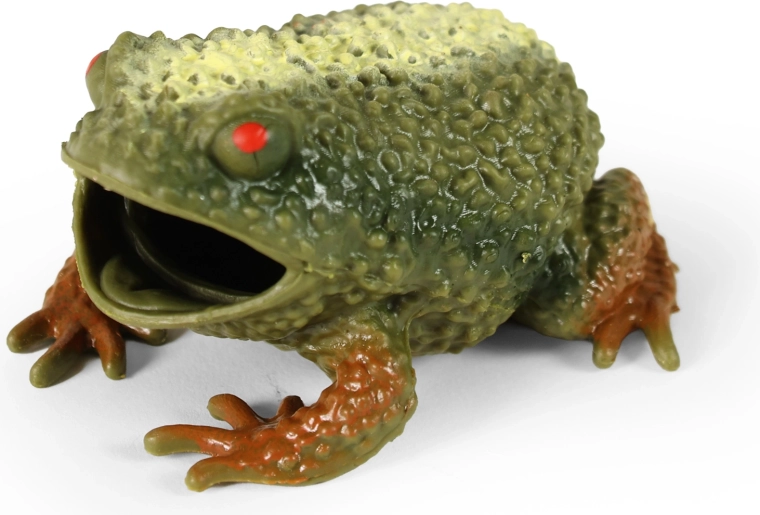 Broască de cauciuc 10 cm
