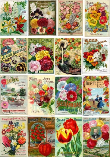 Puzzle Enjoy vintage pachete de semințe de flori 1000 de piese