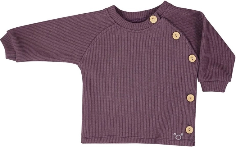 Tricou pentru bebeluși cu mânecă lungă Koala Pure, mov – 62 (3-6 luni)