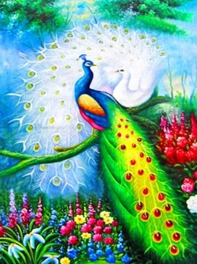 Pictură cu diamante – păuni 30 × 40 cm