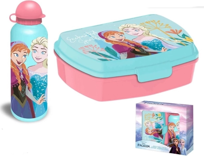 Disney Frozen - cutie pentru gustare și sticlă din aluminiu pentru băut