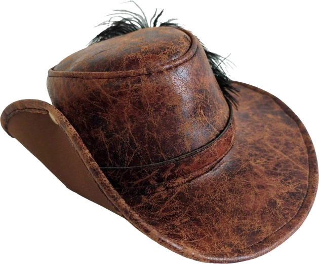 Pălărie Western