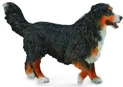 Collecta figură câine de munte bernese