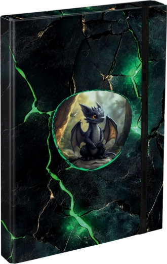 Mape pentru caiete A4 cu motiv dragoni BAAGL