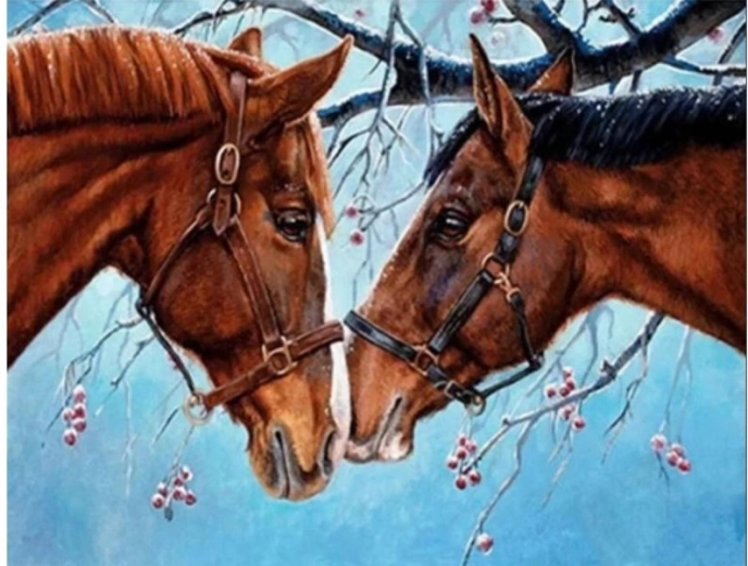 Pictură pe numere pe pânză – Doi cai 50 × 40 cm
