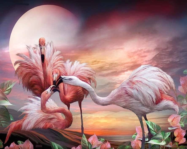 Norimpex Pictură pe numere Flamingo 40 × 50 cm