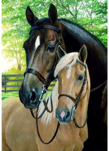 Tablou de pictat după numere pe ramă 40 × 50 cm – cai