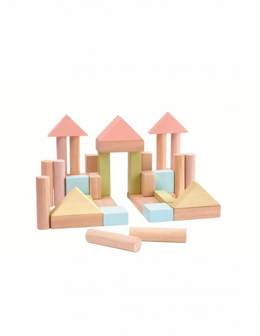 Blocuri de construcție PlanToys 40 bucăți