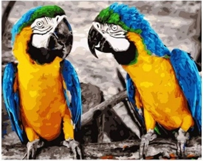 Pictură cu diamante Papagali 30 × 40 cm