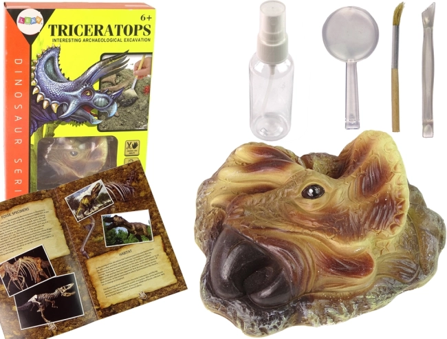 Set educațional de excavare Triceratops