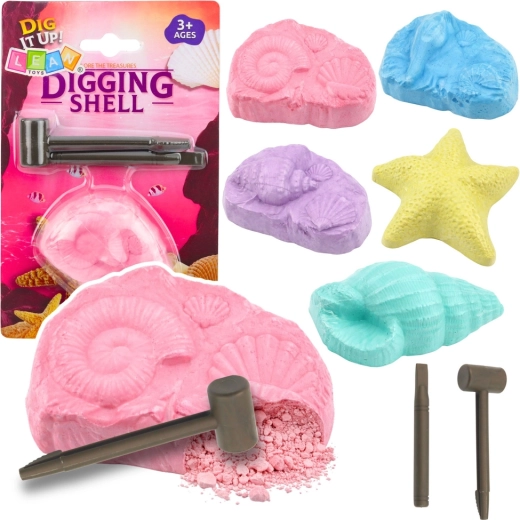 Set arheologic fosile marine – set de excavație cu scoici și unelte