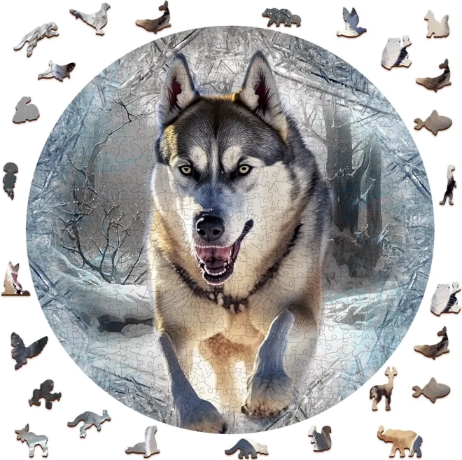 Puzzle din lemn Lupița în Fugă 505 piese de la Wooden City