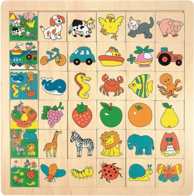 Puzzle din lemn cu piese de inserat pentru copii 3+