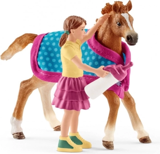 Mânz cu fată și accesorii