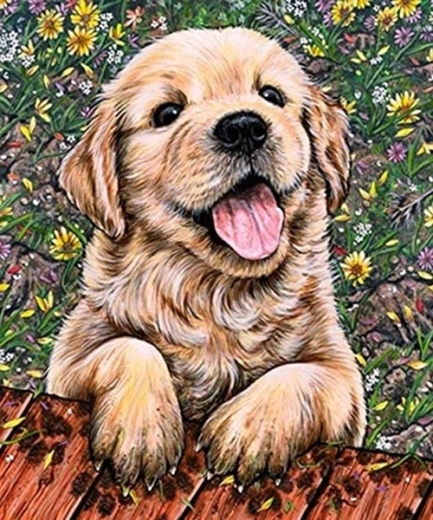 Pictură cu diamante cățel labrador 30 × 40 cm