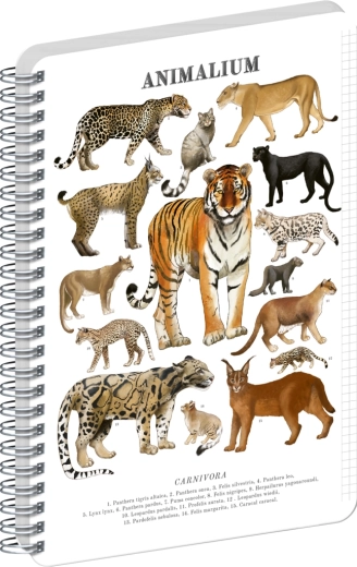 Bloc spiral Notique Animalium – feline mari, A5, pătrățele