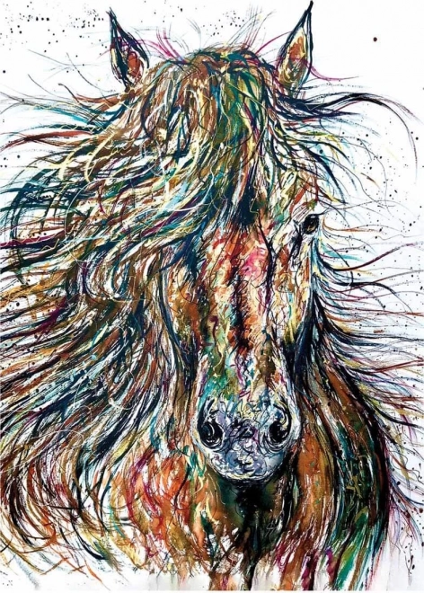 Puzzle ANATOLIAN Vânt 500 piese