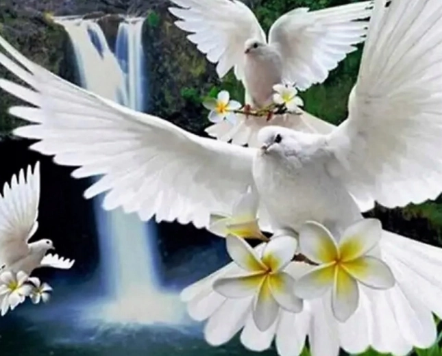 Pictură cu diamante Porumbei albi 30 × 40 cm