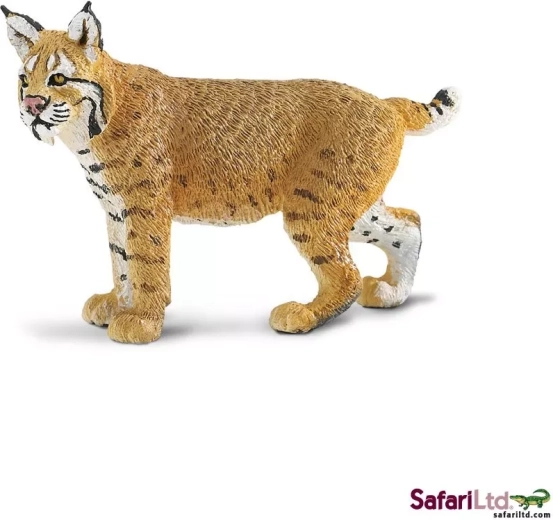 Safari Ltd. râs