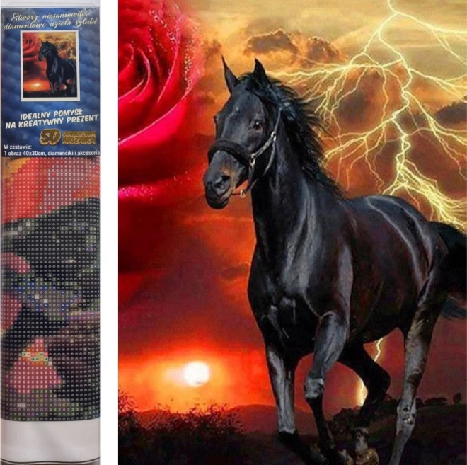 Set pentru pictură cu diamante - armăsar negru