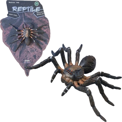 Natura vie: Wolf Spider – model realist de păianjen (12 cm)