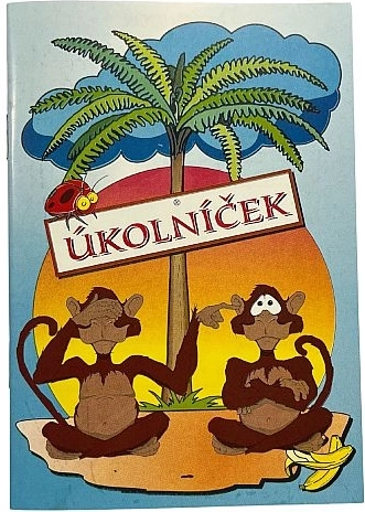 Carnet de teme A6 – mix de motive