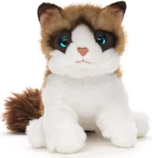 Pisică de pluș Ragdoll, 18 cm