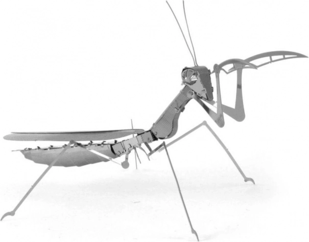 METAL EARTH puzzle 3D Călugărița Mantis
