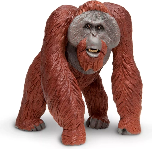 Figurină de urangutan bornean Safari Ltd.