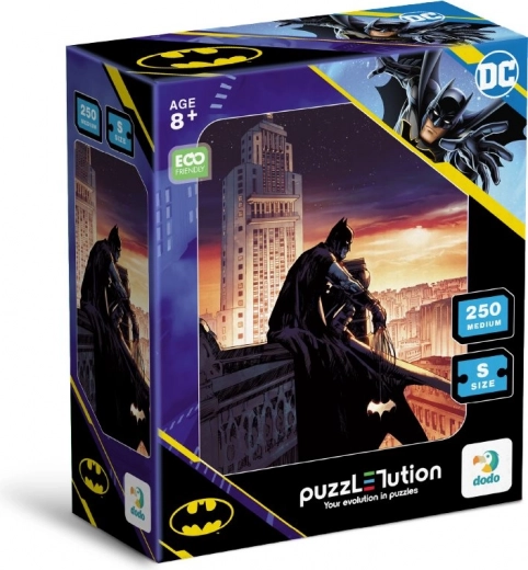 Puzzle Batman Zori de zi 250 piese