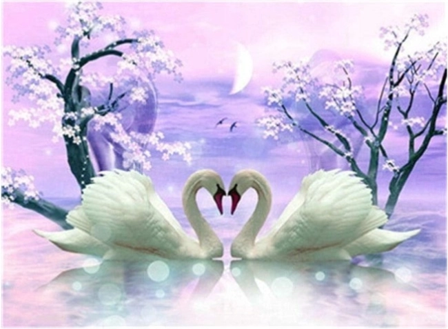 Pictură cu diamante Dragostea lebedei 30 × 40 cm