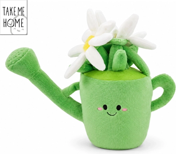 Plantă de interior din pluș în stropitoare verde Take Me Home 20 cm - 1 bucată
